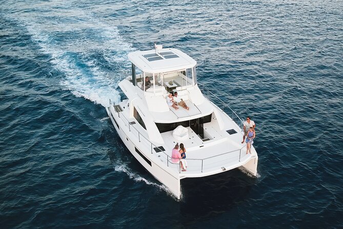 Waikiki's Premier Small Group Sunset Yacht + Tasting - Wildlife-Spotting Isn’t a Gimmick Here: Dolphins, Sea Turtles, and More