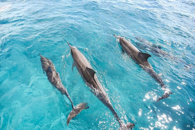 Waikiki's Premier Small Group Sunset Yacht + Tasting - The Captain’s Tasting Menu: Local Food Served While You Cruise