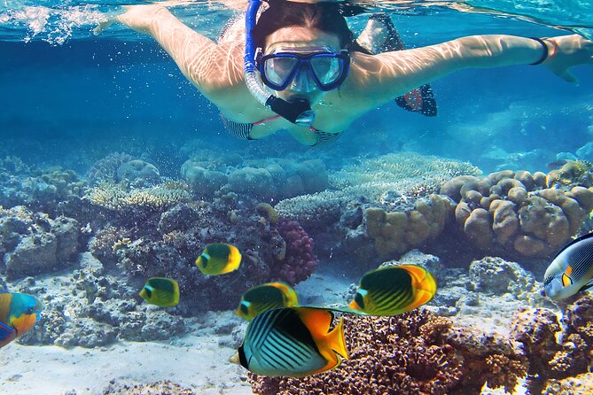 Waikiki Sail and Snorkel Adventure Best of Hawaii 2023 - What Happens Before You Hit the Water: Gear and Snorkel Basics