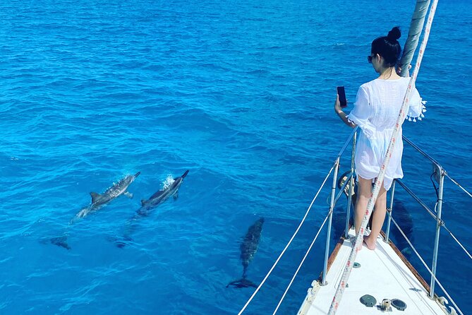Waikiki small group turtle snorkeling & sailing - Why Turtle Canyon Is Best at Dawn
