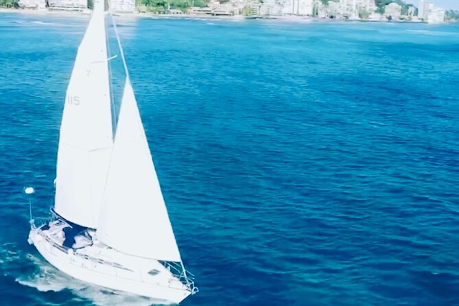 Waikiki small group turtle snorkeling & sailing - Timing, Seas, and Your Best Chance at Dolphins