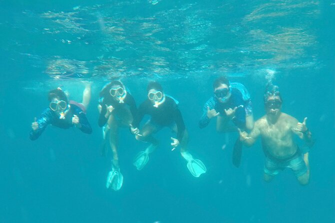 Waikiki small group turtle snorkeling & sailing - Value for $99: What You’re Actually Getting