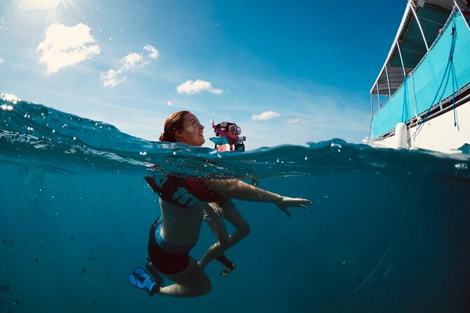 Waikiki Snorkel Tour - Turtle Canyons is why this Waikiki snorkel tour feels worth it