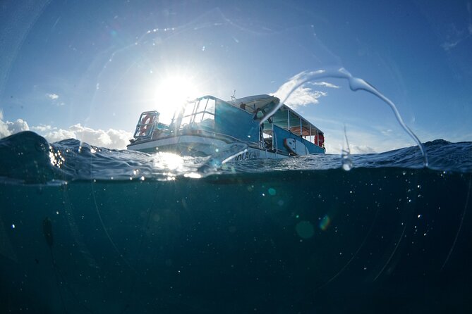 Waikiki Snorkel Tour - Group size and water crowding: how to avoid getting kicked in the fins