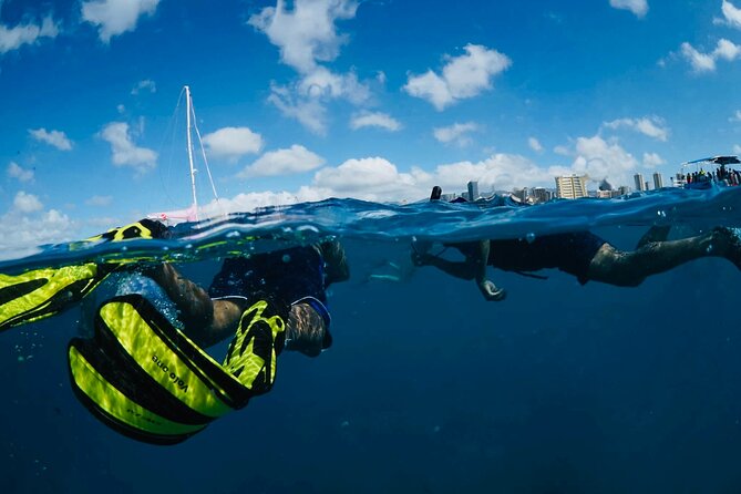 Waikiki Snorkel Tour - Value for $50: why the included gear and guide make this a deal