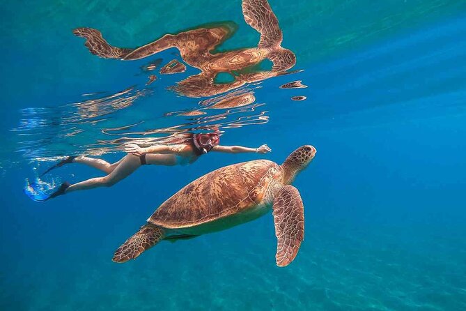 Waikiki Snorkeling Adventures with E Sea Diver! - Key Takeaways