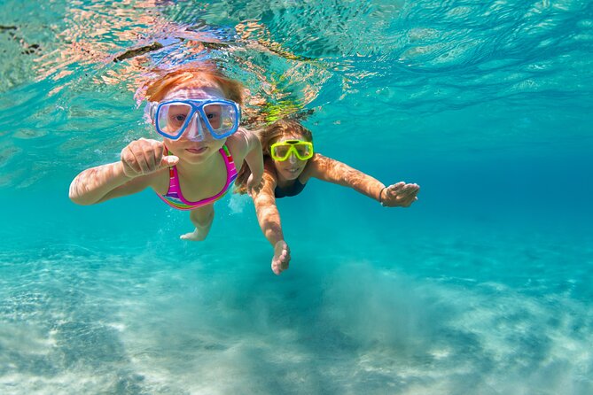 Waikiki Snorkeling Adventures with E Sea Diver! - Snorkeling Setup: Gear, Life Jackets, and Real Coaching
