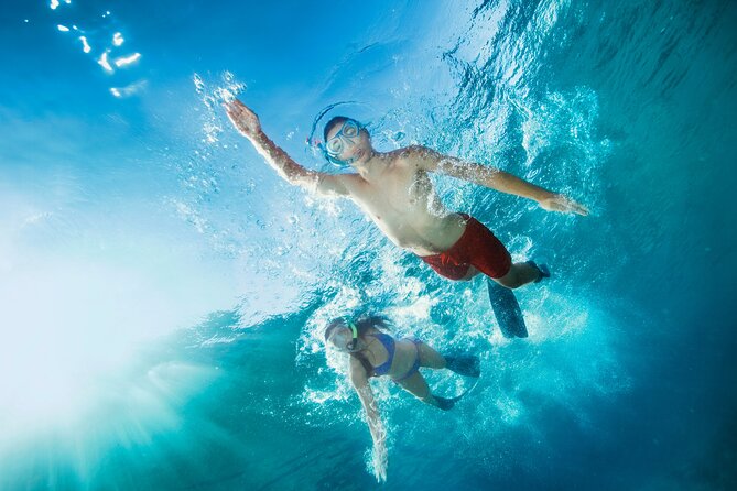 Waikiki Snorkeling Adventures with E Sea Diver! - Jumping In: The Included 20 Platform and the Active Boat Feel