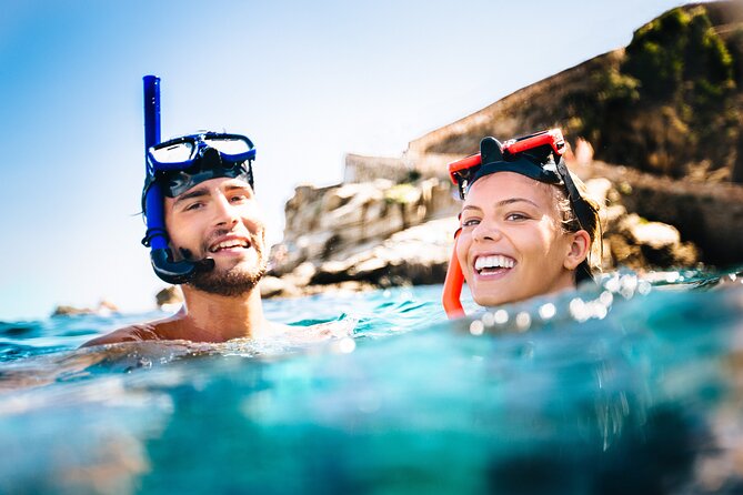 Waikiki Snorkeling Adventures with E Sea Diver! - Sea Turtles in Waikiki: What’s Likely and What’s Not Guaranteed