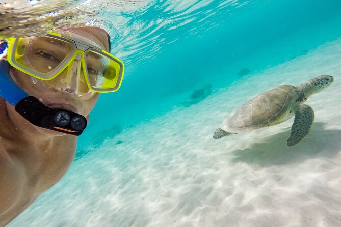 Waikiki Snorkeling Adventures with E Sea Diver! - Snacks, Drinks, and What to Pack for Comfort