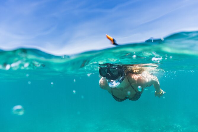 Waikiki Snorkeling Adventures with E Sea Diver! - Safety and Service: Crew Energy Matters