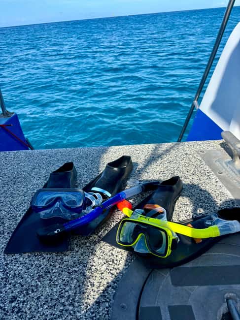 Waikiki Snorkeling and Ocean Waterpark Adventure - Price and value: is $73 worth it in Waikiki?