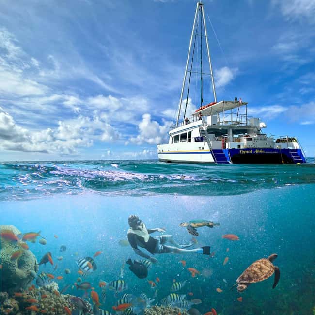 Waikiki Snorkeling and Ocean Waterpark Adventure - Should you book Waikiki Snorkeling and Ocean Waterpark Adventure?