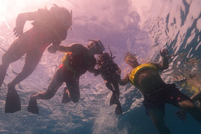 Waikiki: Turtle Canyon Snorkel - Gear, Safety, and the Swimming Requirement Nobody Should Skip