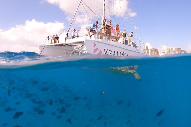 Waikiki: Turtle Canyon Snorkel - What to Bring (So You Don’t Have to Improvise in Waikiki)