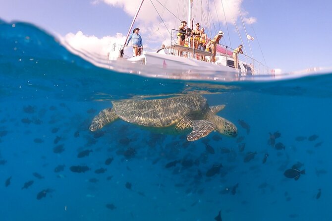 Waikiki: Turtle Canyon Snorkel - Value and Price: Is $68.60 a Smart Spend?