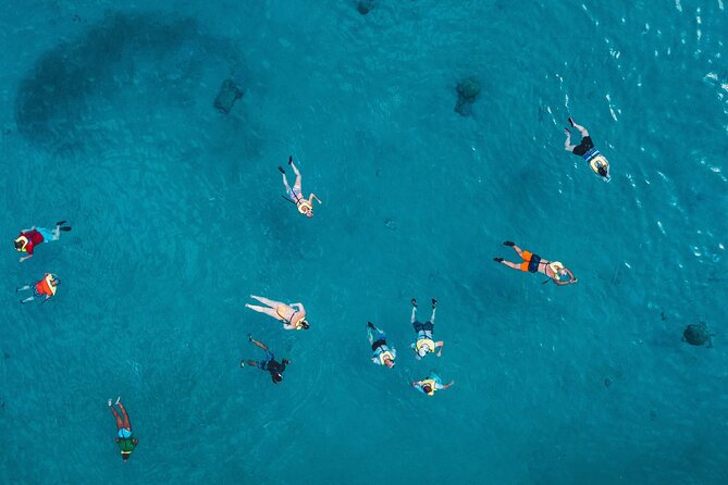 Waikiki: Turtle Canyon Snorkel - Who Should Book This Turtle Canyon Snorkel Tour?
