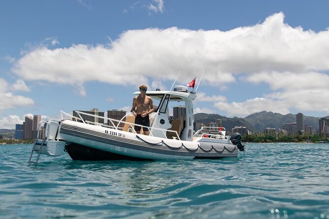 Waikiki Turtle Canyon Snorkel: Turtles Guaranteed - Safety Rules You Should Know Before You Swim