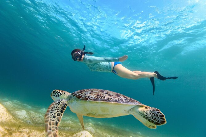 Waikiki Turtle Canyon Snorkeling Adventure - Key things to know before you go