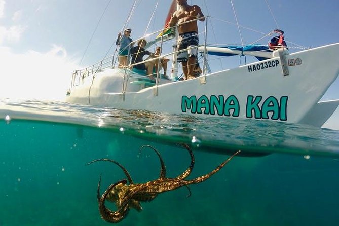 Waikiki Turtle Snorkel and Sail on Hawea Catamaran - Sails Out of Waikiki: What the Boat Portion Really Gives You