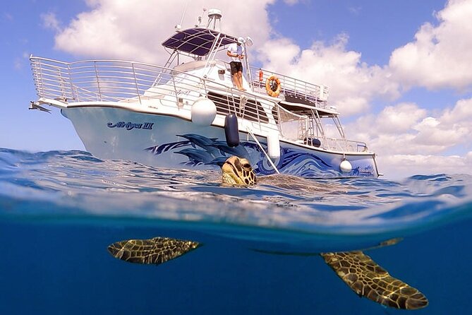 Waikiki Turtle Snorkeling Tour with Complimentary Trolley Ride - Getting to the boat: the Waikiki trolley and Kewalo Basin start
