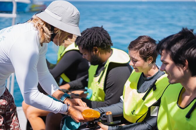 Waikiki Turtle Snorkeling Tour with Complimentary Trolley Ride - Who should book (and who should choose a different day)