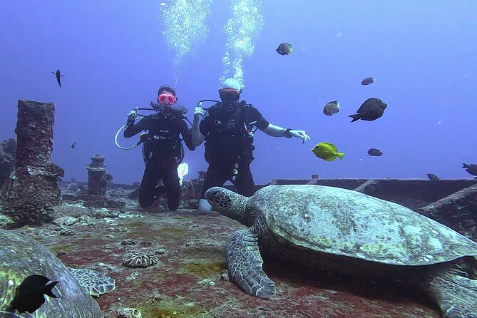 Waikiki Two Tank Guided Scuba Diving Adventure: Certified Diver - Two-tank schedule: how the day flows on the water
