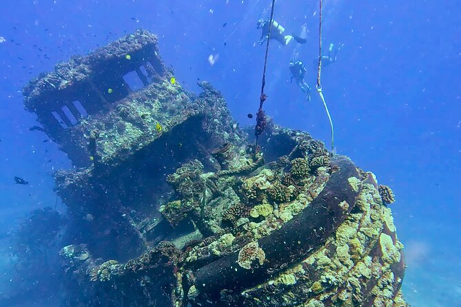 Waikiki Two Tank Guided Scuba Diving Adventure: Certified Diver - Your underwater leader matters: what small groups do for your pace