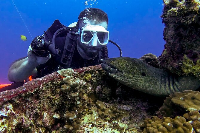 Waikiki Two Tank Guided Scuba Diving Adventure: Certified Diver - Timing and staying flexible in Waikiki