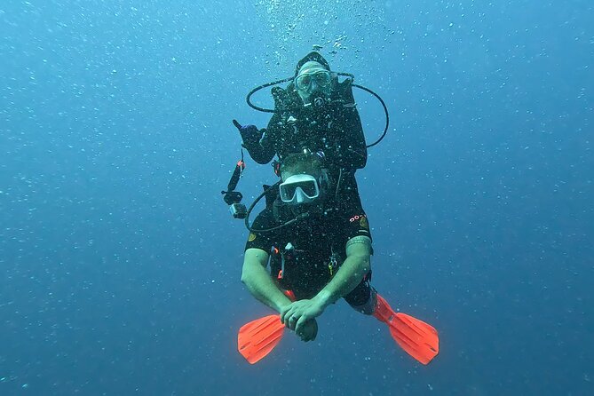 Waikiki Two Tank Guided Scuba Diving Adventure: Certified Diver - Price and value: what $249 buys you in the real world
