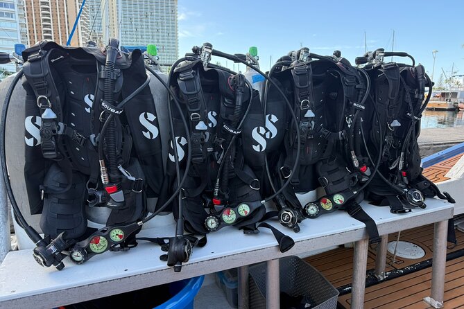 Waikiki Two Tank Guided Scuba Diving Adventure: Certified Diver - What’s included in the price (and what you still need to handle)