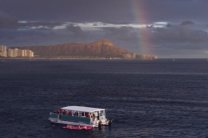 Waikiki Whale Watching Cruise - Key Highlights You’ll Actually Care About
