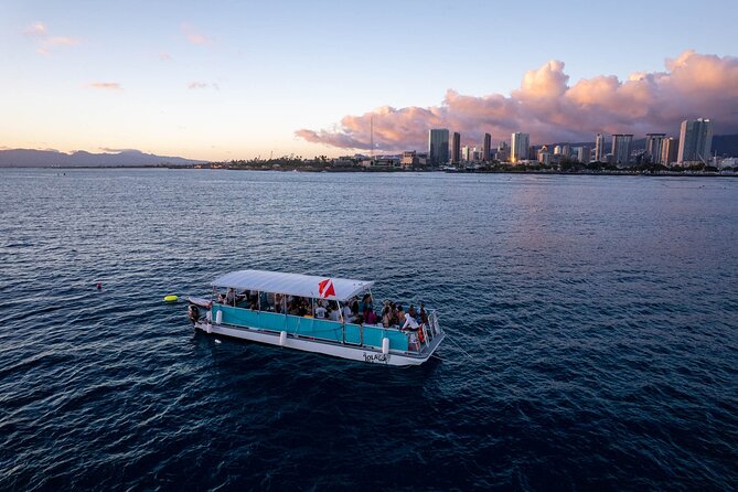 Waikiki Whale Watching Cruise - Group Size and Crowd Feel: Why the Max of 40 Matters