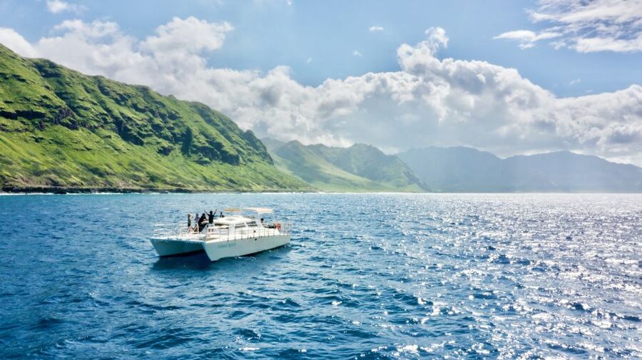 West O'ahu: Swim with Dolphins Catamaran Cruise - The dolphin search: what you’re really signing up for