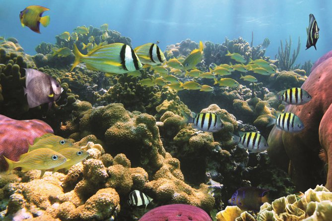 West Oahu Afternoon Turtle Snorkel Sail - West Oahu Afternoon Turtle Sail: A 2-Hour Plan That Feels Like a Getaway