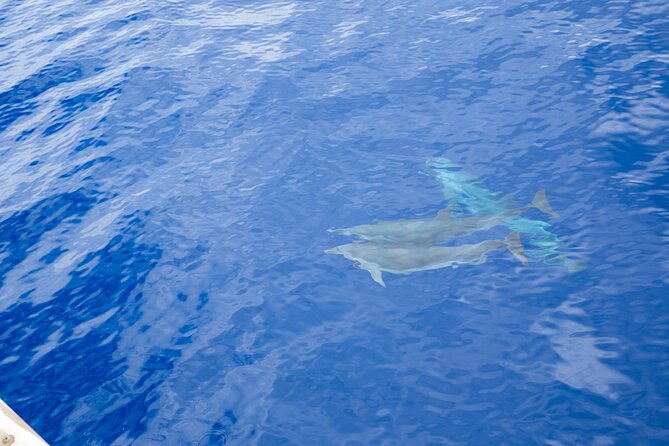 West Oahu Afternoon Turtle Snorkel Sail - On-Board Comfort and the Premium Bar: This Tour Knows You’re Here to Relax
