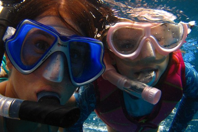West Oahu Afternoon Turtle Snorkel Sail - Tips That Help You Get More From the Day