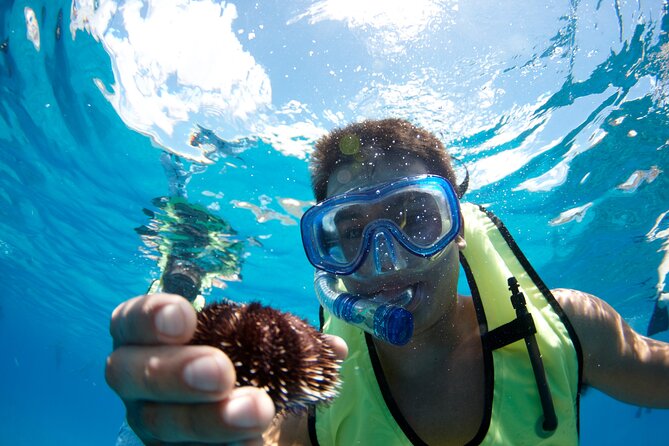 West Oahu Dolphin Watch and Snorkel Sail with Lunch - Snorkeling at the Calm, Moored Spot: How the Experience Really Plays Out