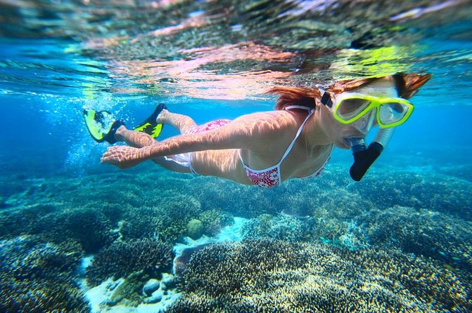 West Oahu Dolphin Watch and Snorkel Sail with Lunch - Logistics That Matter: Pickup Timing and Getting to Waianae