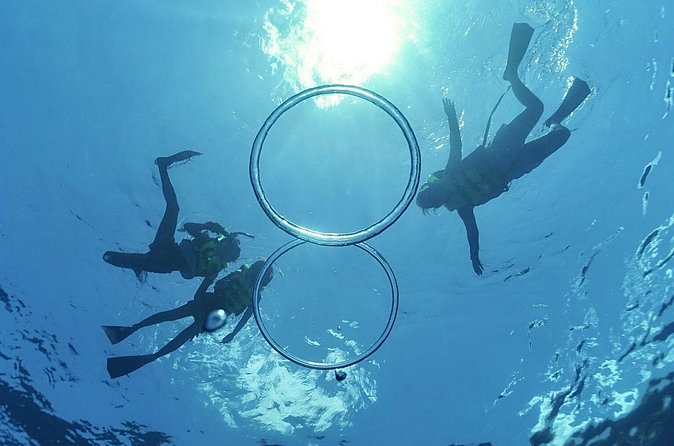 Whale & Dolphin Watching, Turtle Snorkeling - Lunch, snacks, and the little comfort wins that matter