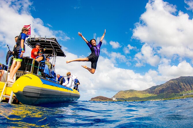 Wild Dolphin Watching and Snorkel Safari Off West Coast of Oahu - Price and what makes it feel like value at $193.88